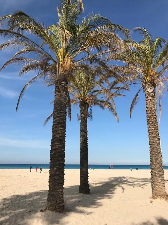 Appartamento La terrazza nel Blu San Vito Lo Capo Italia